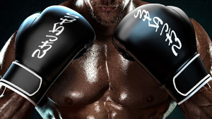 중국구매대행 추천 복싱 글러브